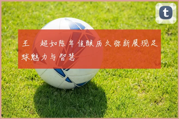 王燊超如陈年佳酿历久弥新展现足球魅力与智慧